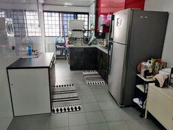 Blk 244 Tampines Street 21 (Tampines), HDB 4 Rooms #499741741